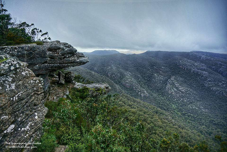 reed look out grampians