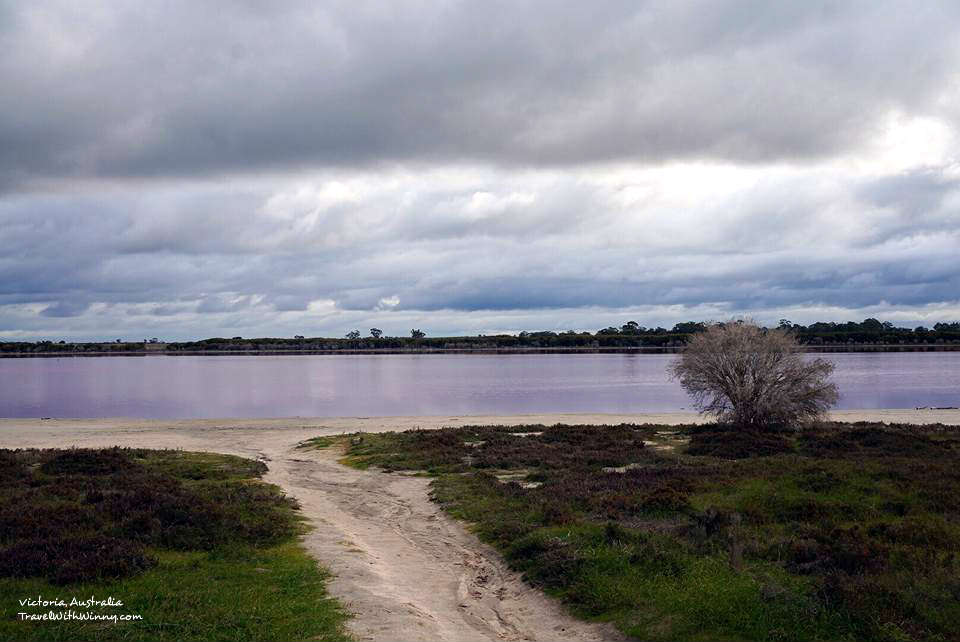 澳洲 粉紅湖 pink lake