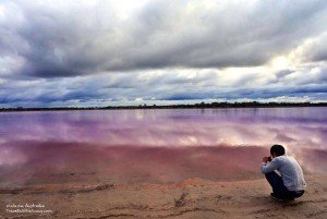 澳洲粉紅湖 pink lake