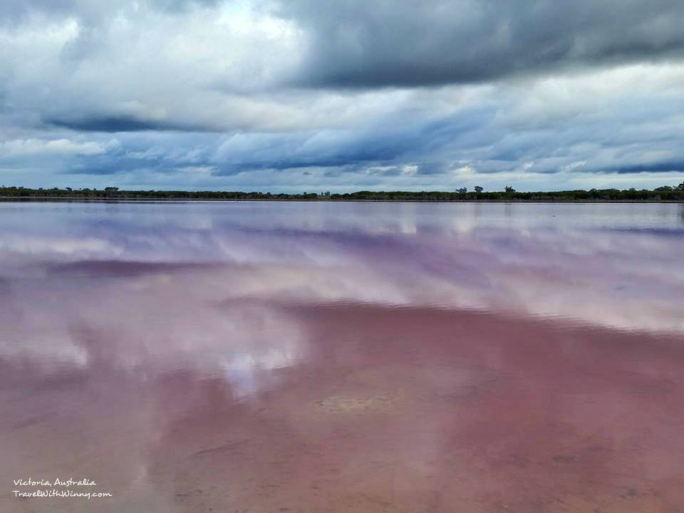 澳洲粉紅湖 pink lake australia