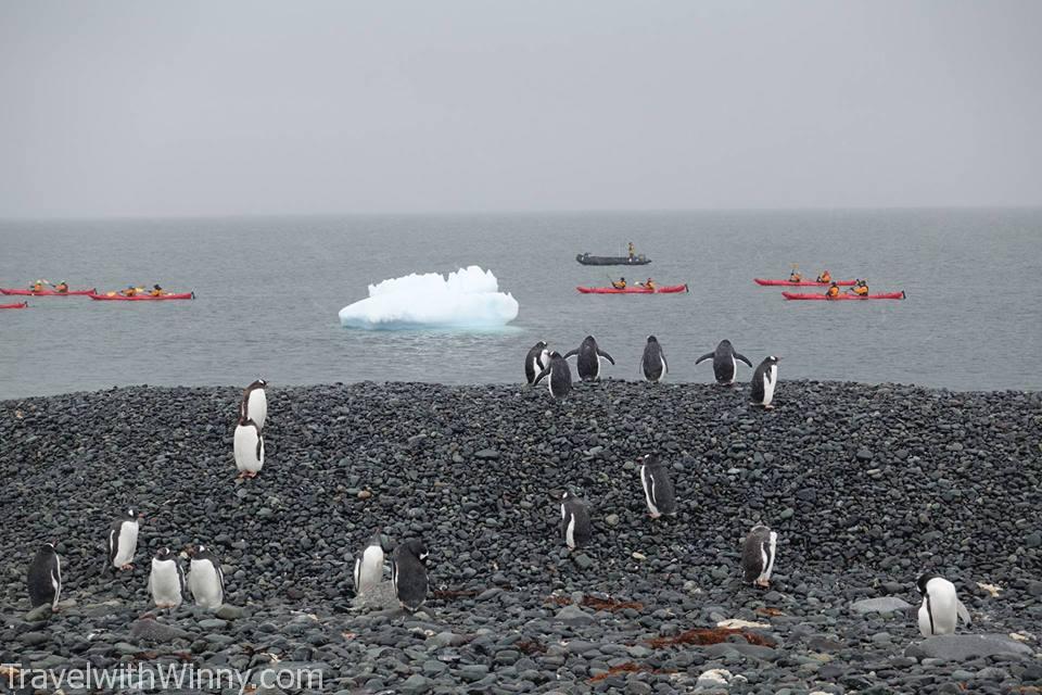 南極 企鵝 冰山 Antarctica penguin ice berg