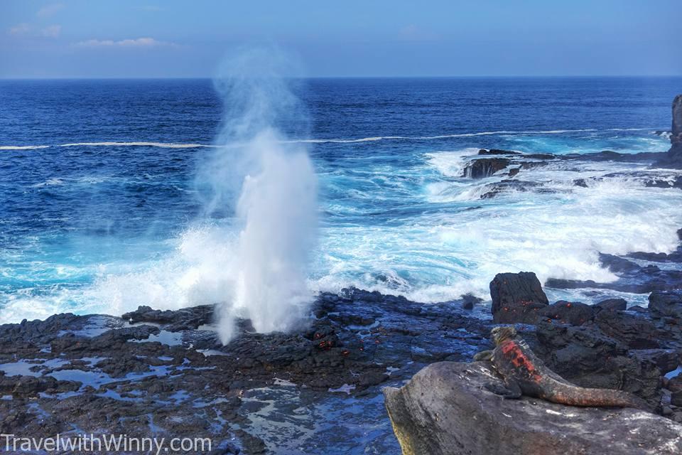 噴泉洞 blowhole