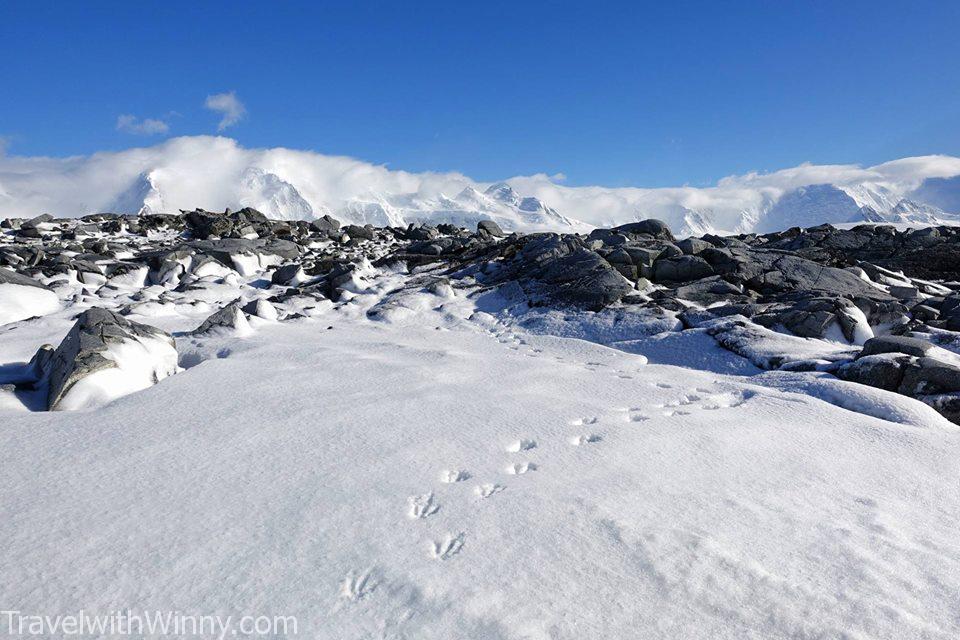 Antarctica peninsula 南極半島