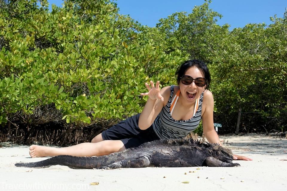 第一天到 Galapagos Island 就看到一堆"加拉帕戈斯海鬣蜥"! 等不及跟大家分享這邊的遊記囉~