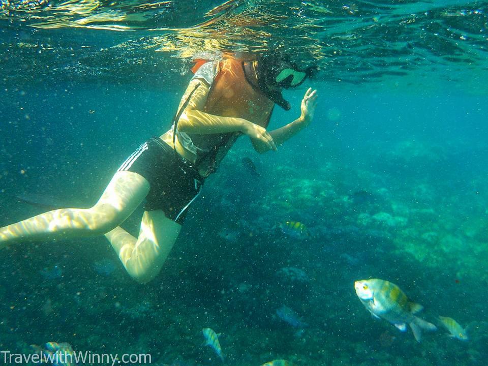 snorkling galapagos 加拉巴哥群島 浮淺