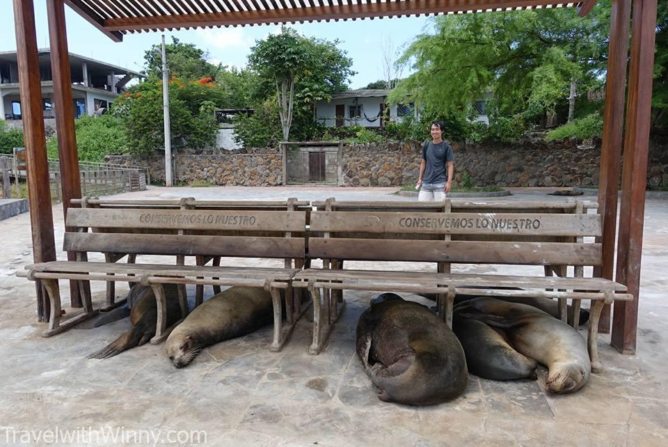 island hopping in galapagos