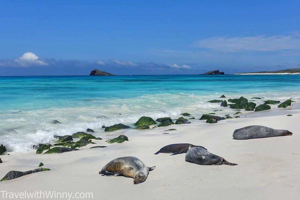 Galapagos Islands 加拉巴哥群島