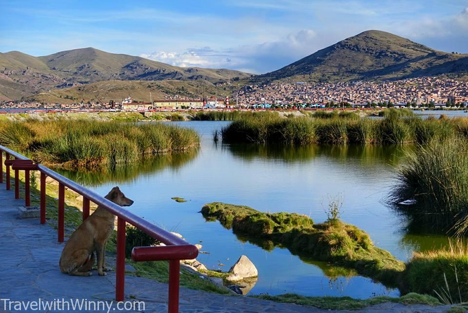 的的喀喀湖 lake titicaca 