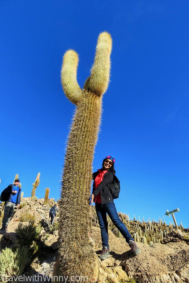  Isla Incahuasi 仙人掌 Cactus