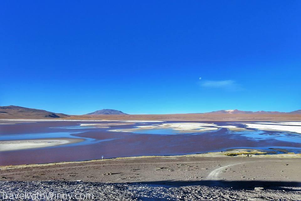 Laguna Colorada 粉紅湖