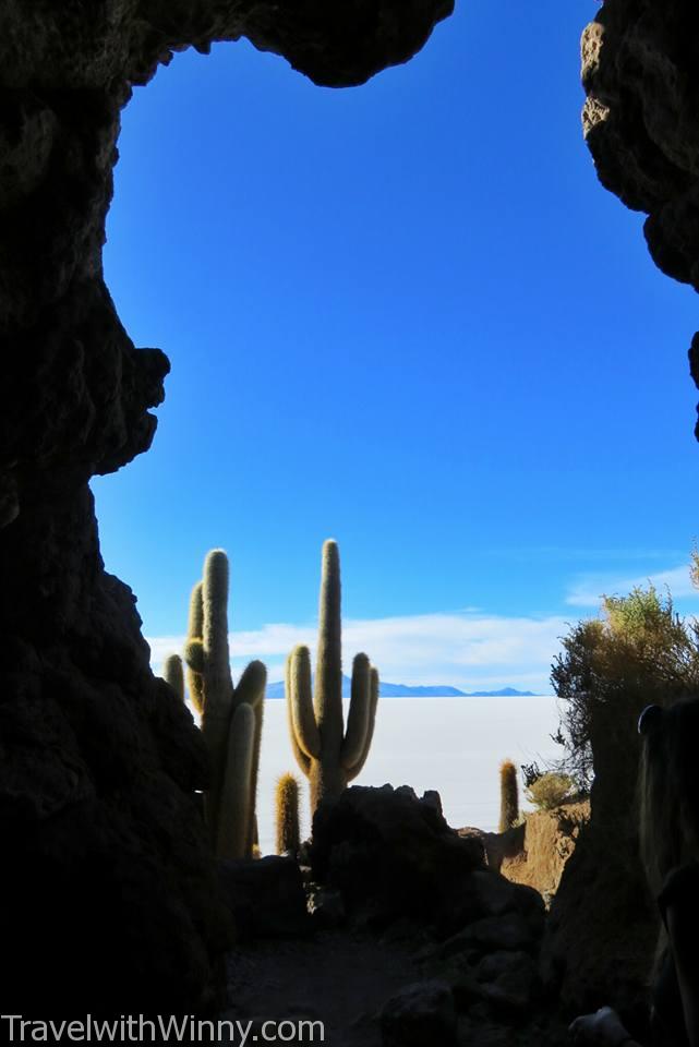  Isla Incahuasi 仙人掌 Cactus