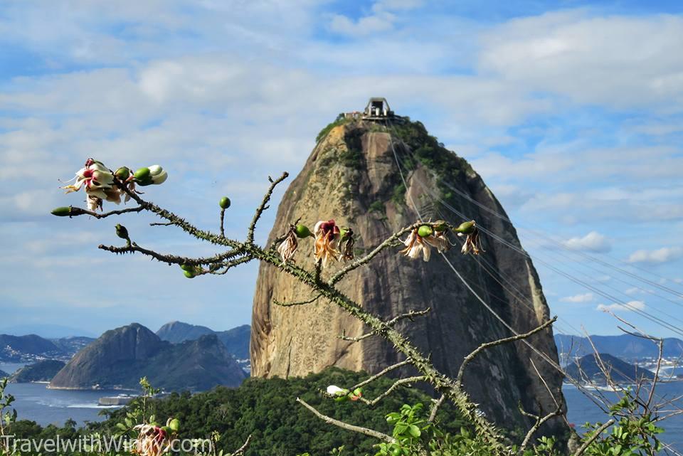 Sugarloaf Mountain 糖麵包山