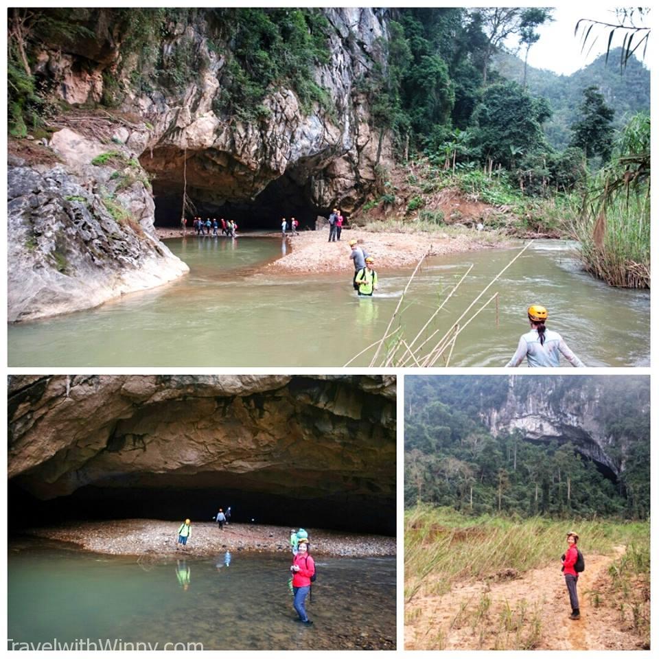 oxalis 豐雅洞國家公園 Phong Nha-Ke Bang National Park