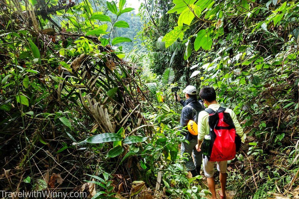 豐雅洞國家公園 Phong Nha-Ke Bang National Park