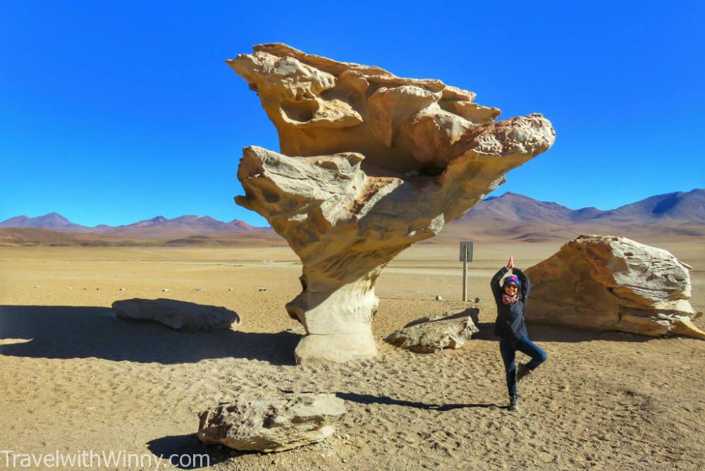 Árbol de Piedra 石頭樹 stone tree