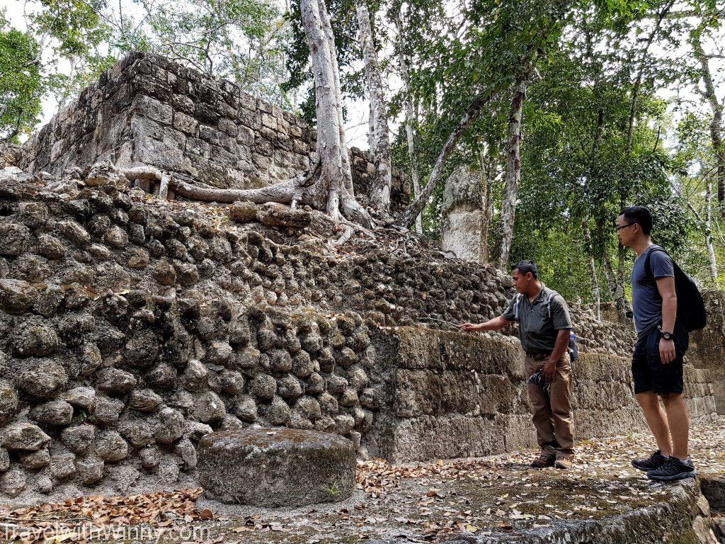 卡拉克穆爾 calakmul 墨西哥 馬雅 mayan ruin mexico