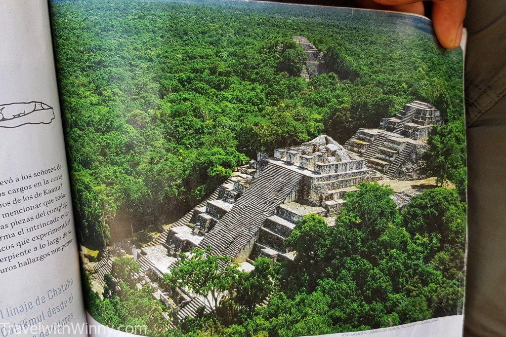 卡拉克穆爾 calakmul 墨西哥 馬雅 mayan ruin mexico