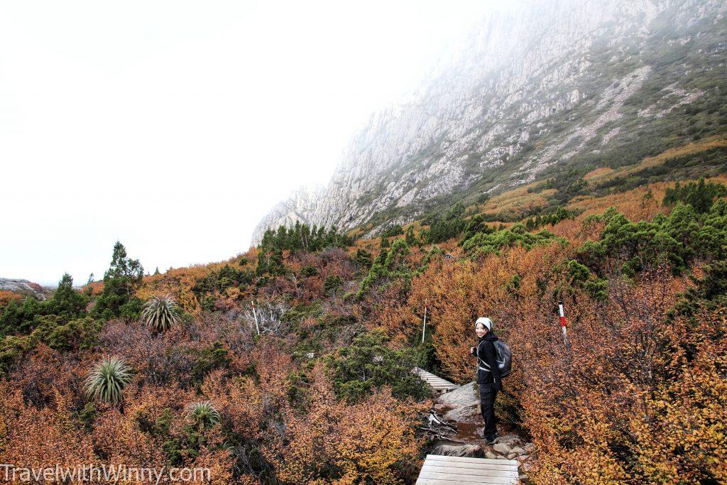 cradle mountain summit 搖籃山