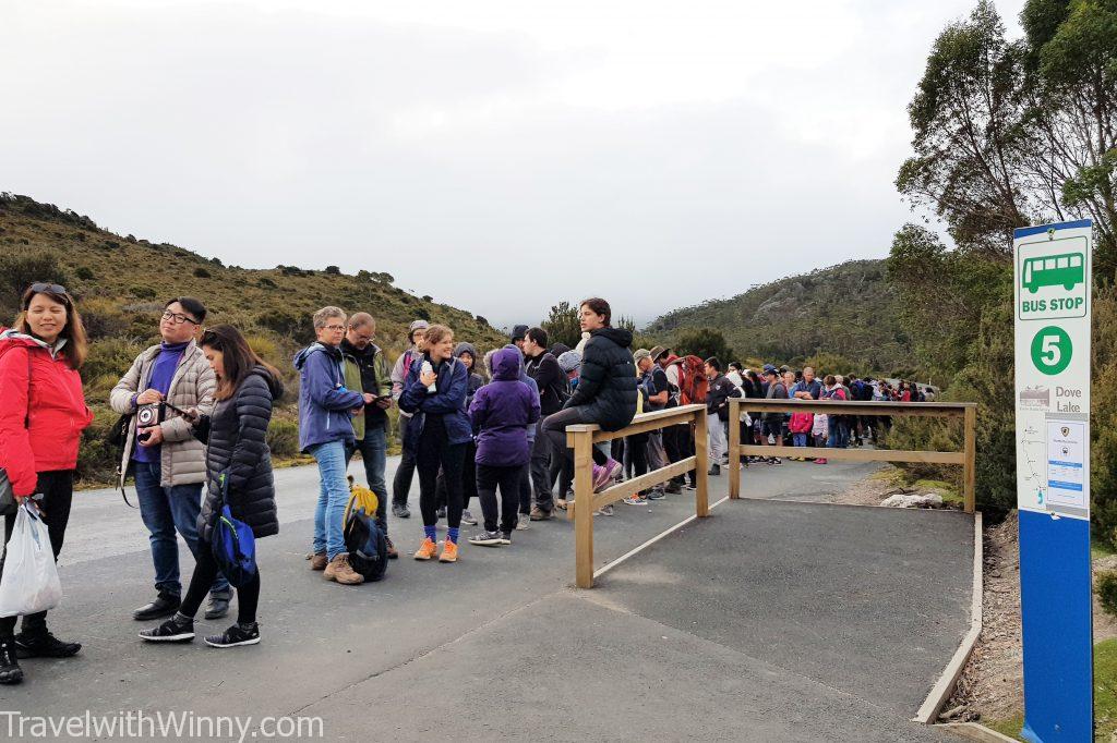 cradle mountain bus 搖籃山 公車