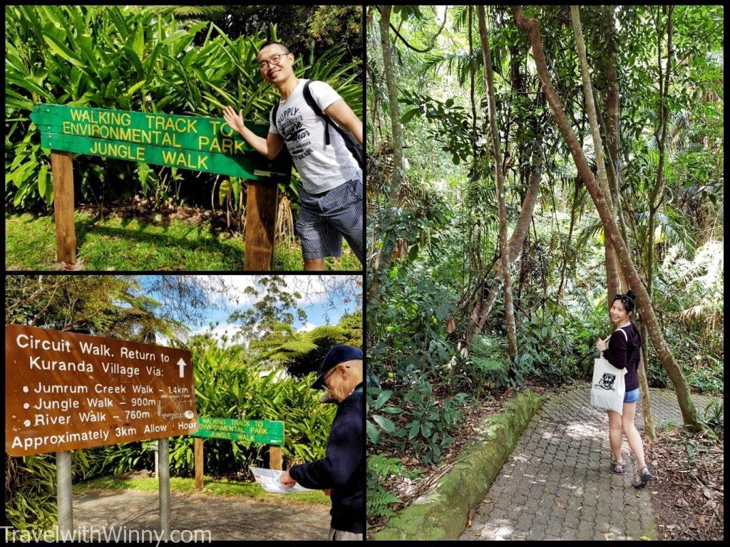 庫蘭達 kuranda jungle walk 雨林