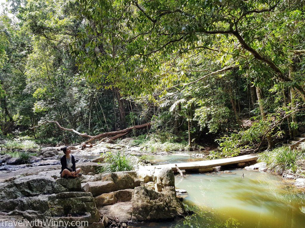 庫蘭達 kuranda jungle walk 雨林