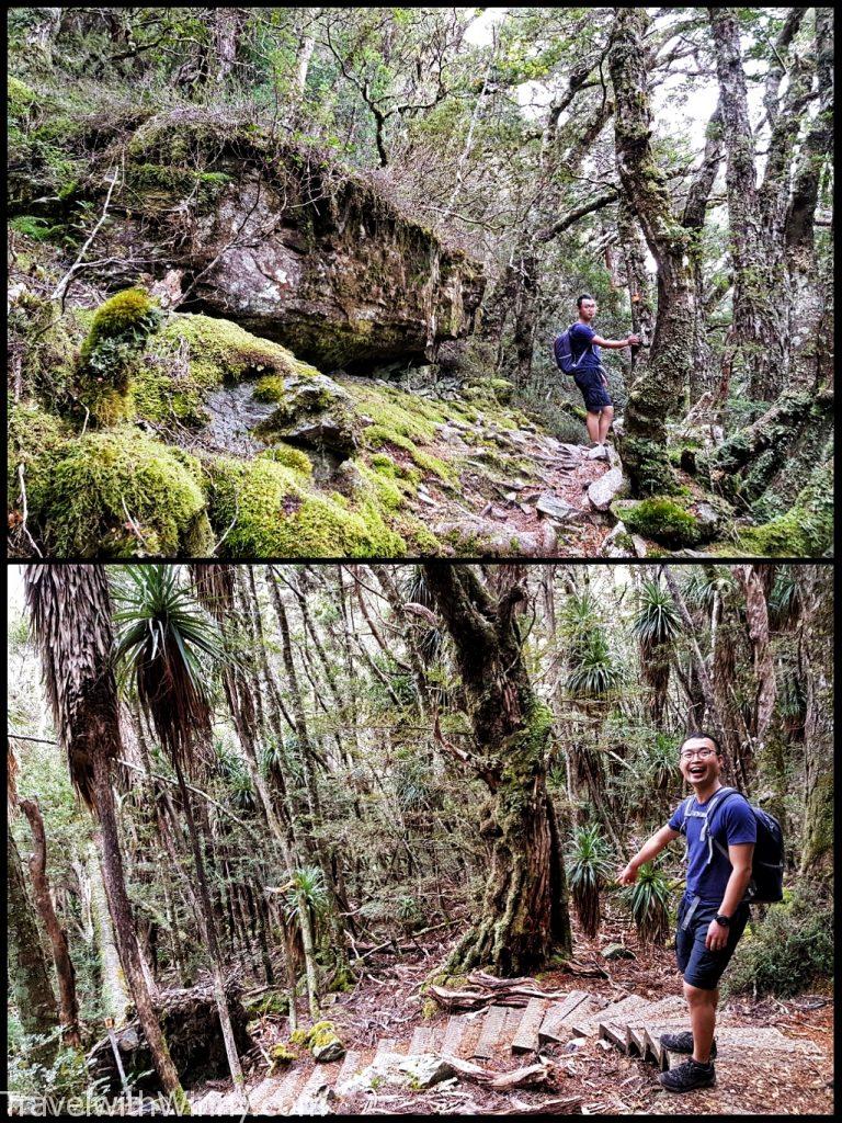 cradle mountain summit 搖籃山