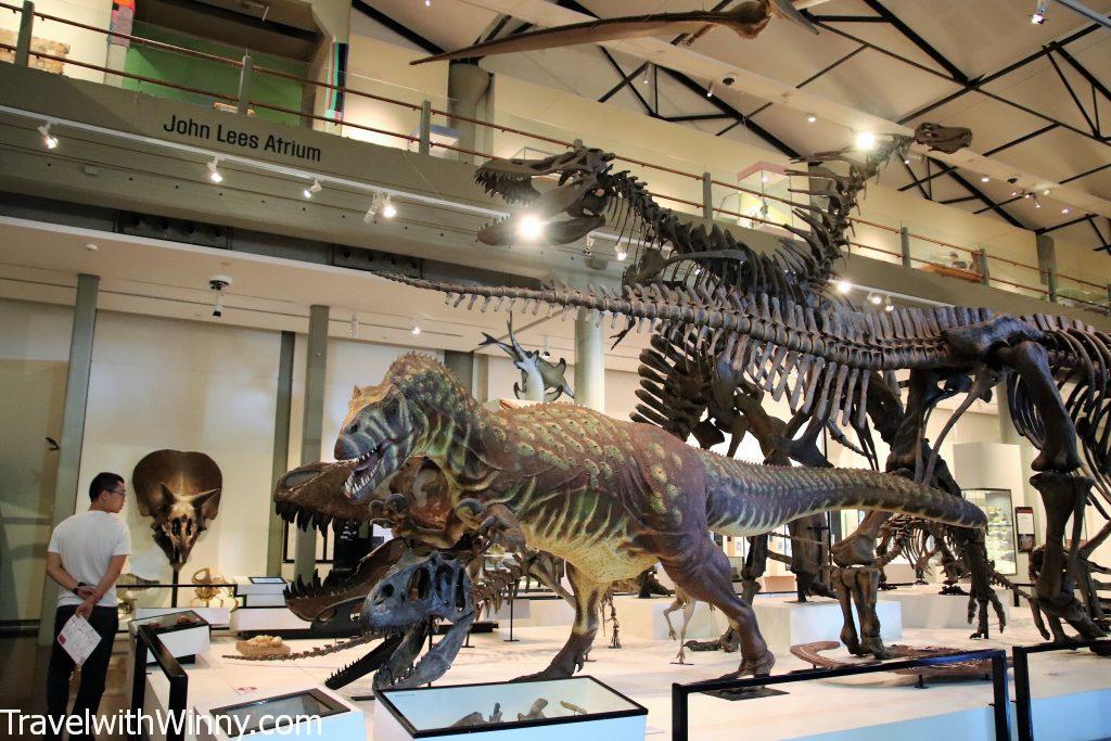 dinosaur skeleton exhibition 恐龍 展示 骨頭