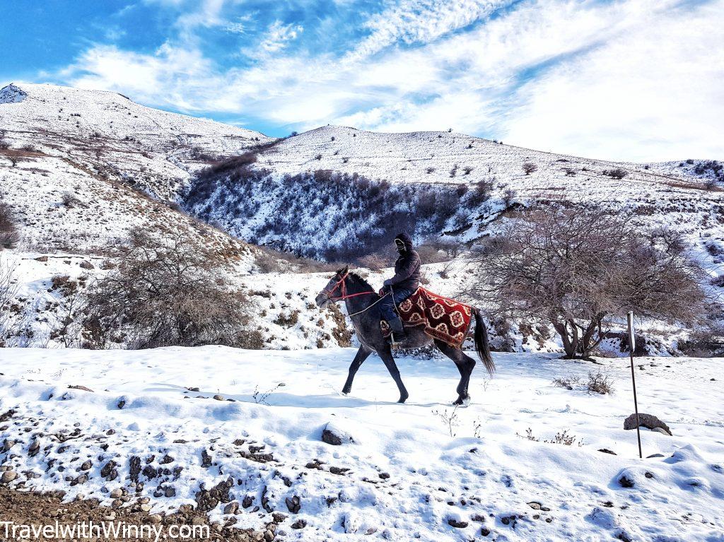 kyrgyz horses 吉爾吉斯 馬