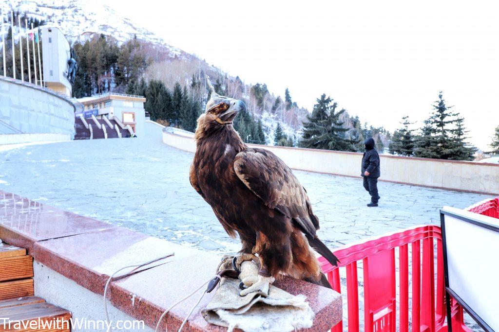 falcon central asia