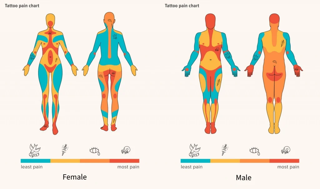 TATTOO PAIN CHART 刺青疼痛指數