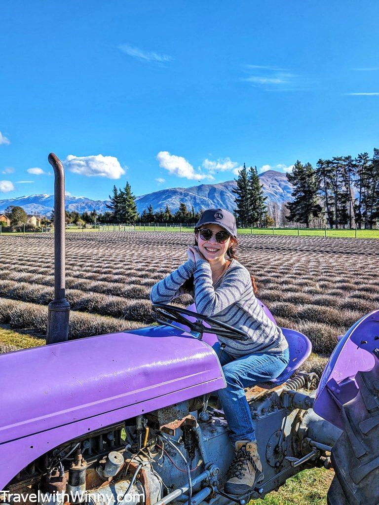 瓦納卡 薰衣草園 Wanaka Lavender Farm