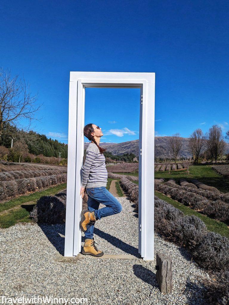 瓦納卡 薰衣草園 Wanaka Lavender Farm