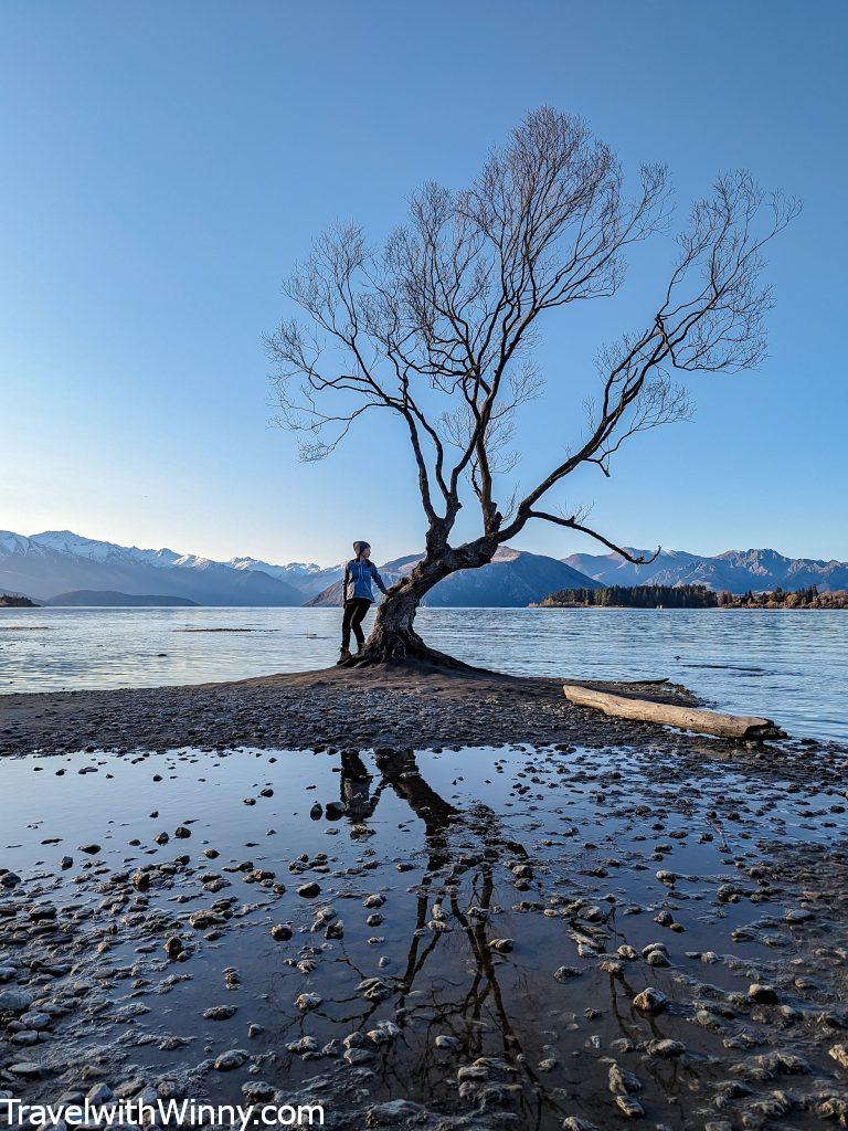 孤獨樹 That Wanaka Tree 瓦納卡