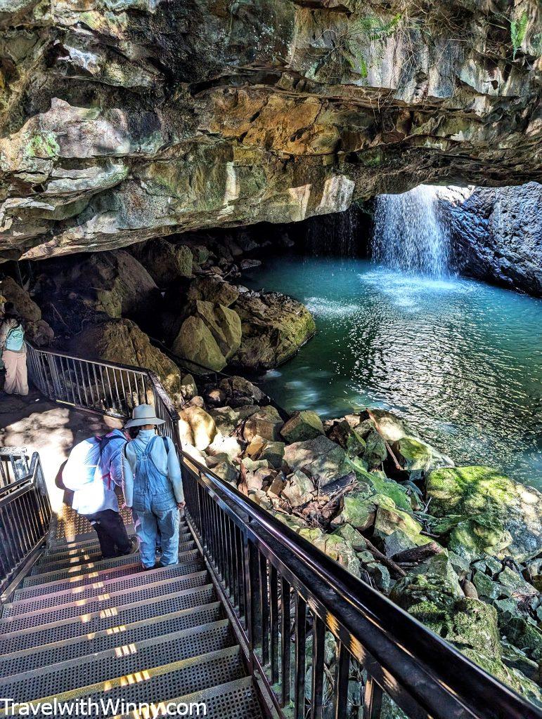 春溪國家公園 Springbrook National Park