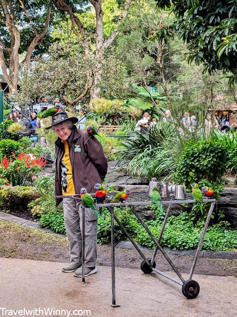 可倫賓野生動物園 Currumbin Wildlife Sanctuary 黃金海岸