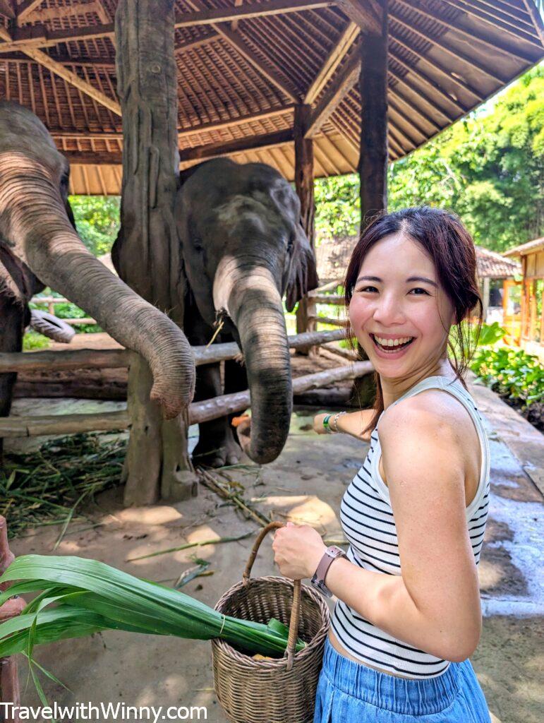 巴厘島野生動物園bali safari 大象餵食elephant feeding