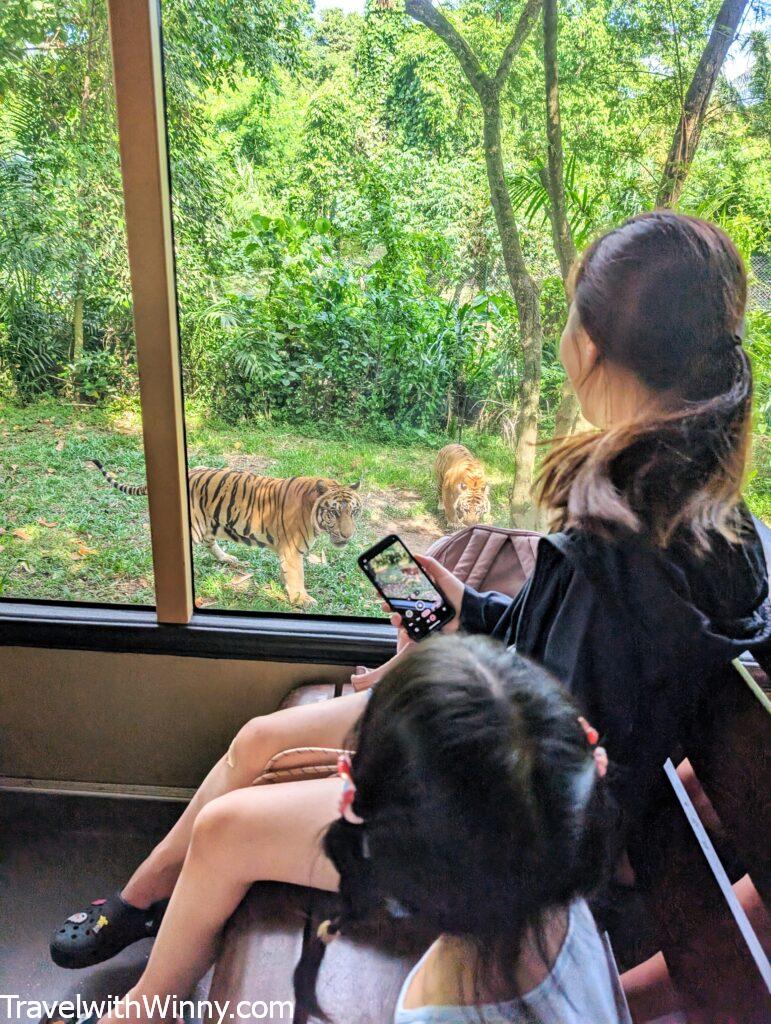 巴厘島野生動物園bali safari