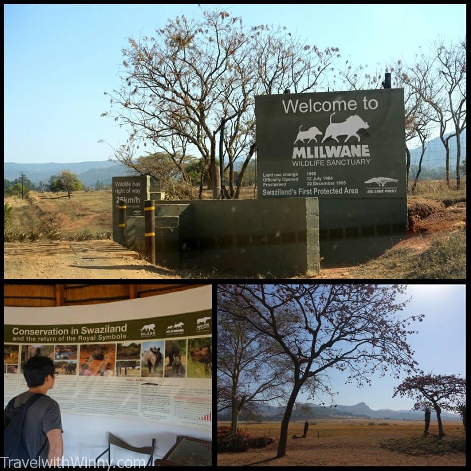 Mlilwane Nature Sanctuary 野生動物自然保護區