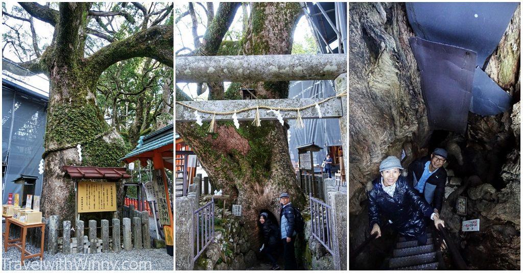 熊野那智大社（Kumano Nachi Taisha）