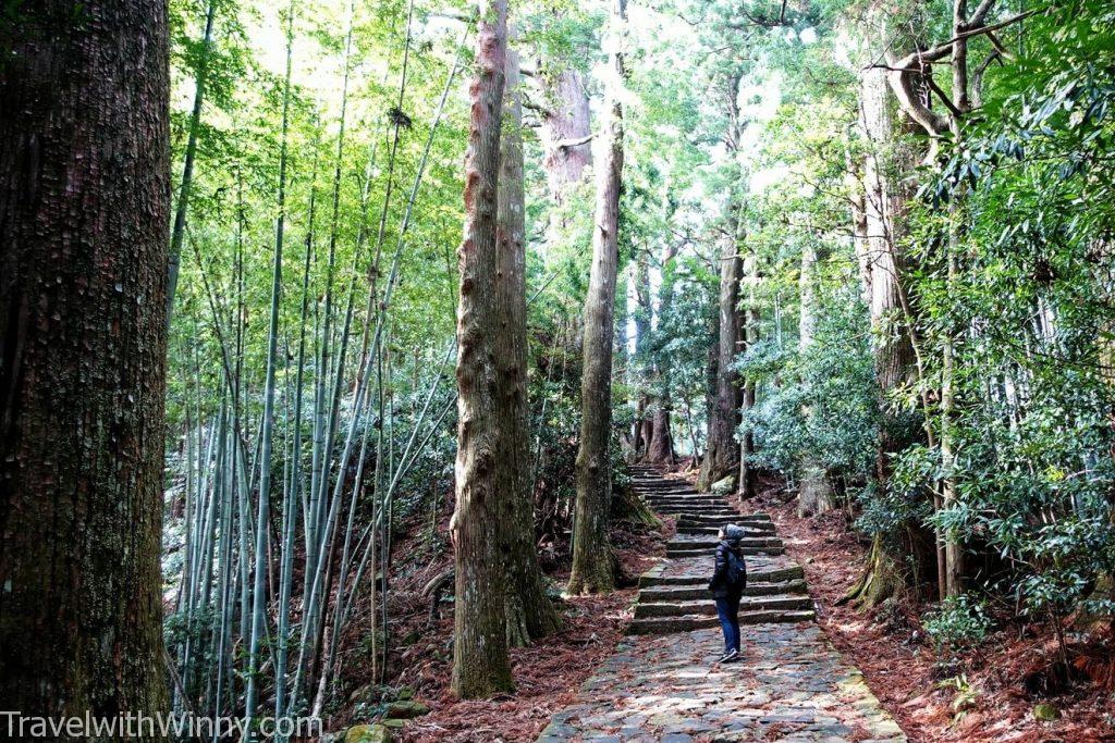 熊野古道 —大門坂（Kumano Kodo Daimon-zaka Slope）