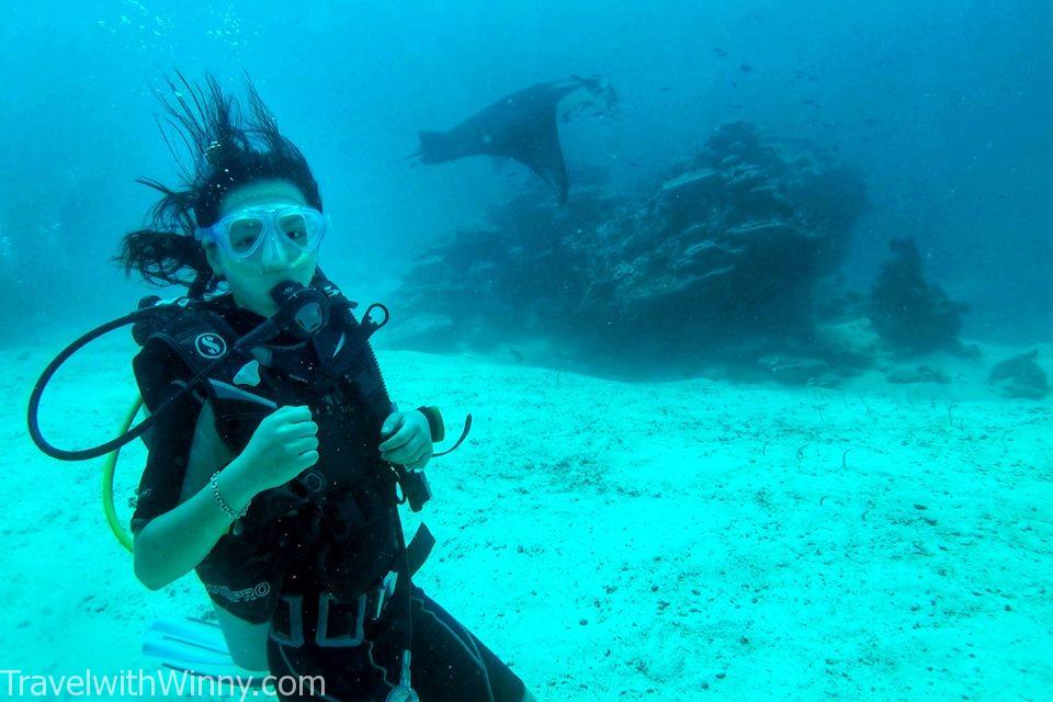 馬爾地夫 maldives 鬼蝠魟 manta rays