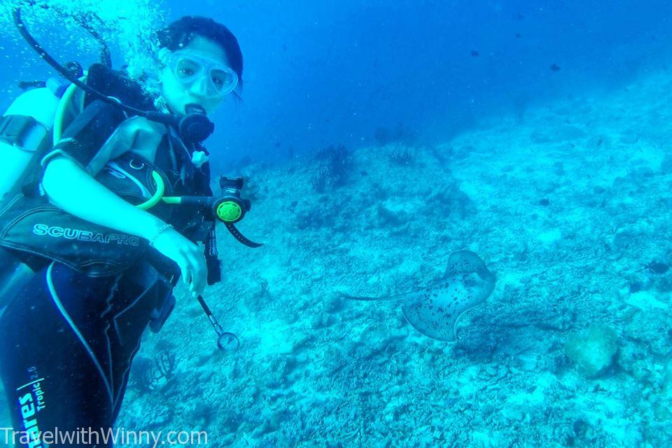 刺魟 Stingray 馬爾地夫 潛水 diving maldives