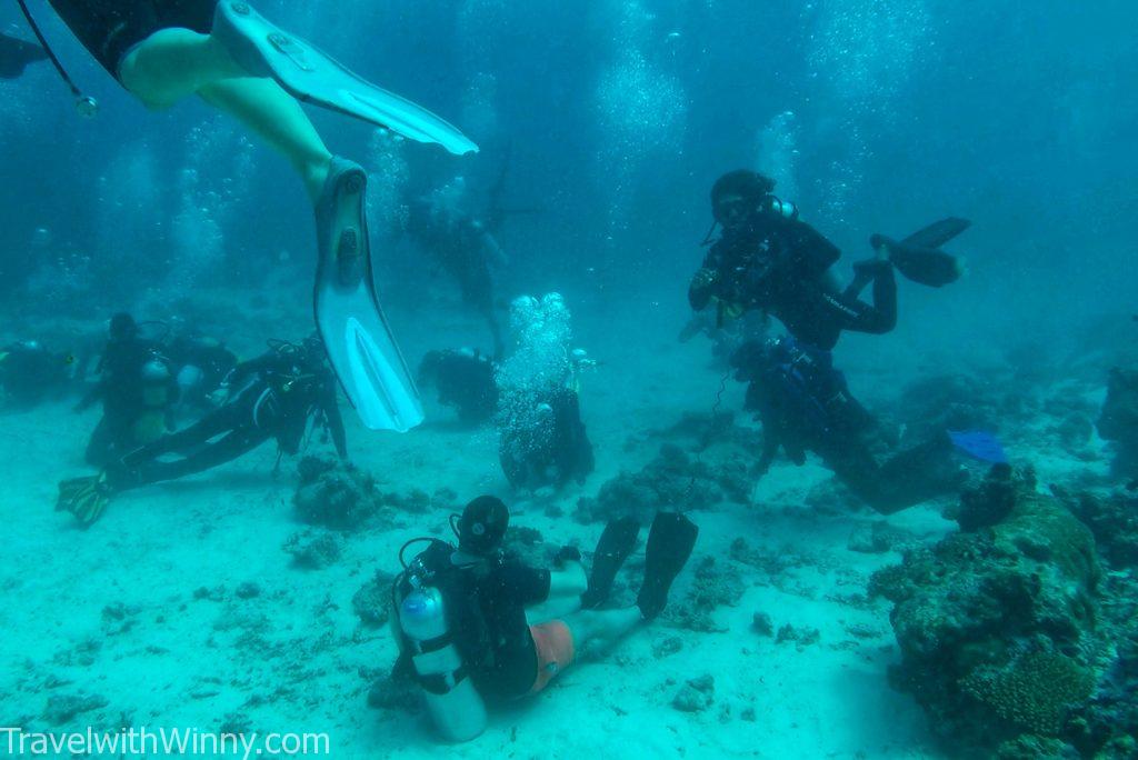 馬爾地夫 潛水 diving maldives