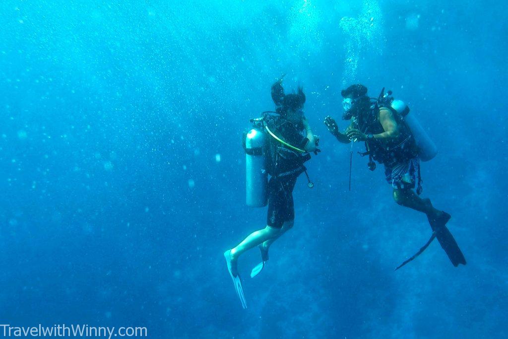 馬爾地夫 潛水 diving maldives