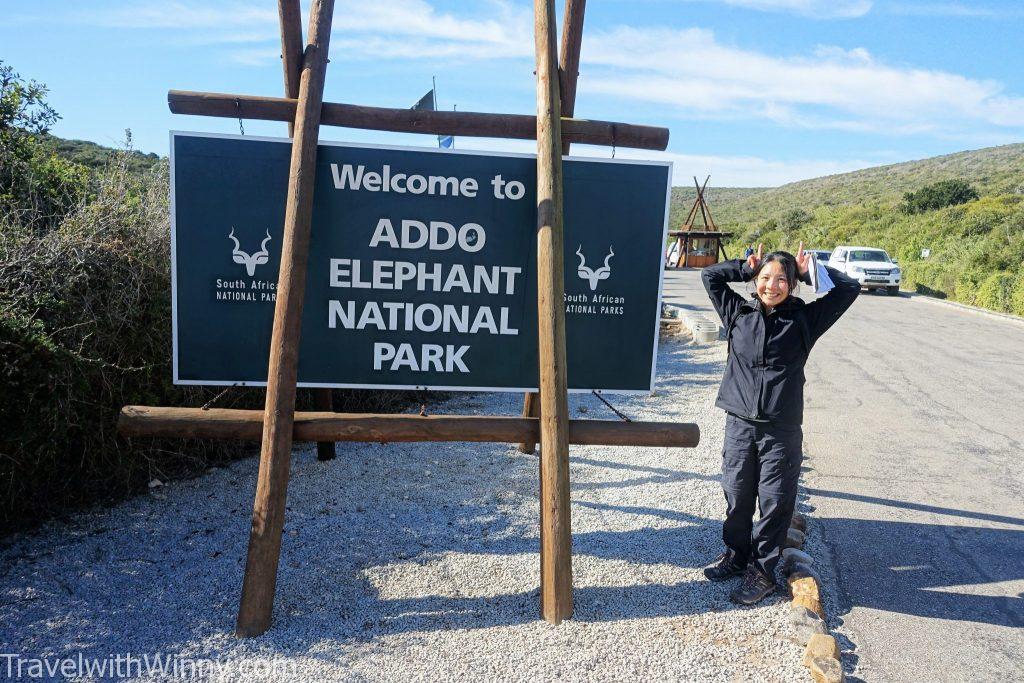 南非 south africa Addo Elephant Park 阿多大象國家公園