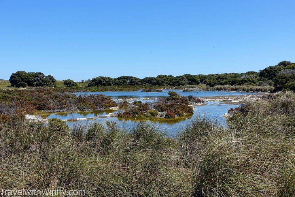 Rottnest Island 羅特尼斯島 australia beach 澳洲 海灘