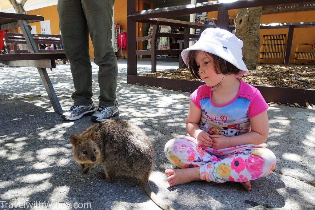 短尾矮袋鼠 quokka selfie 自拍