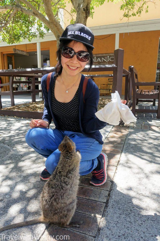 短尾矮袋鼠 quokka selfie 自拍