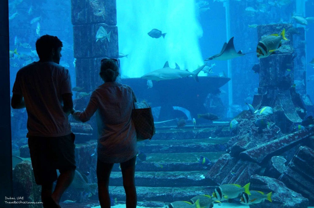 The Lost Chambers Aquarium Atlantis Dubai