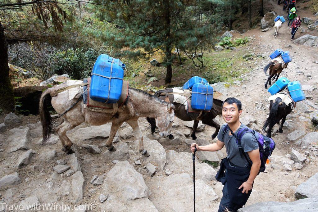  Namche bazaar 南崎巴札 EBC 聖母峰 himalayas 喜馬拉雅山